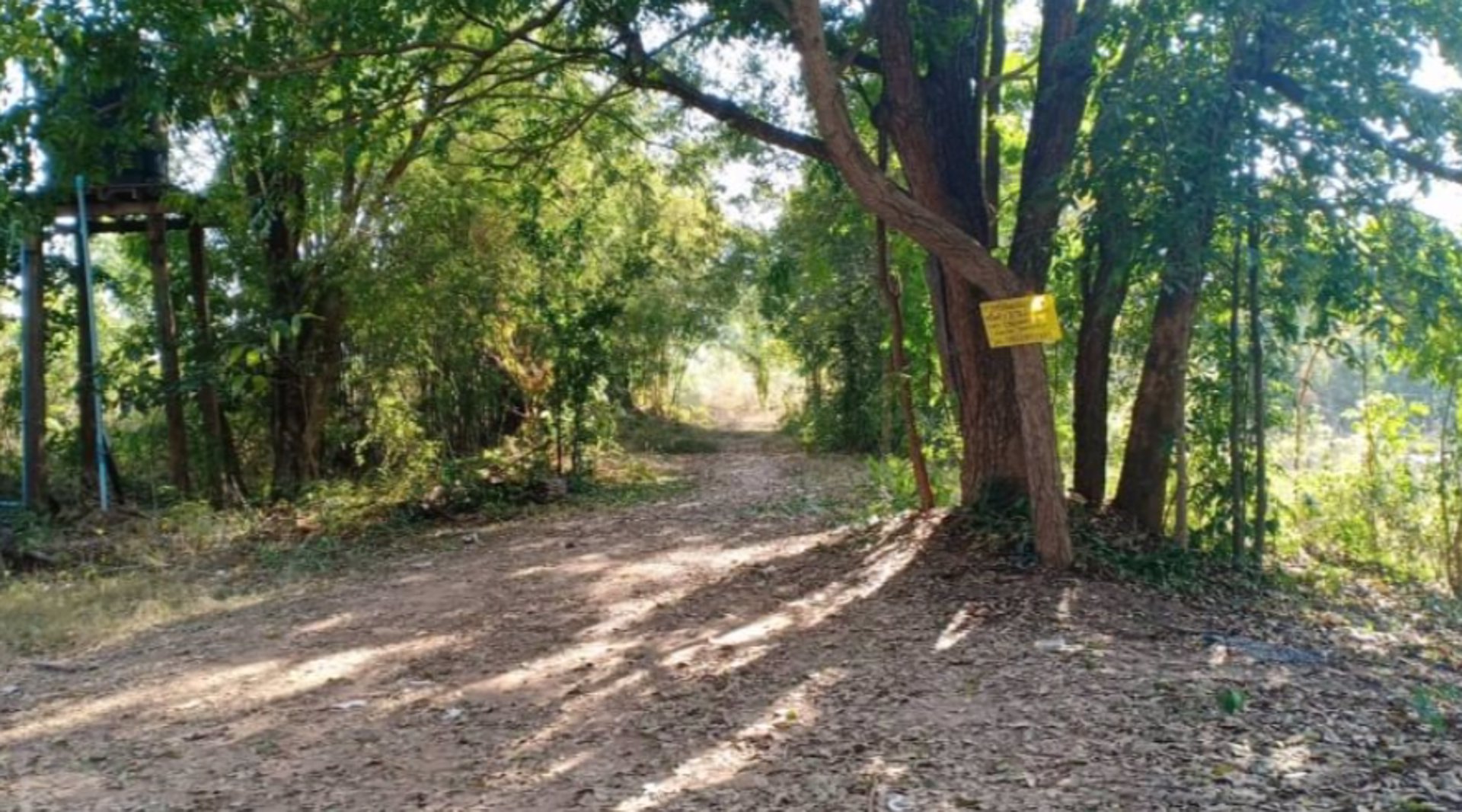 ขายที่ดิน-2ไร่-ราคา290000บาท-ผ่อนวัน100บาท-