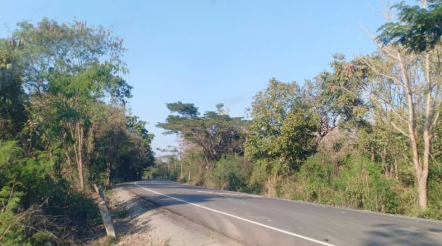 ขายที่ดิน-2ไร่-ราคา290000บาท-ผ่อนวัน100บาท-