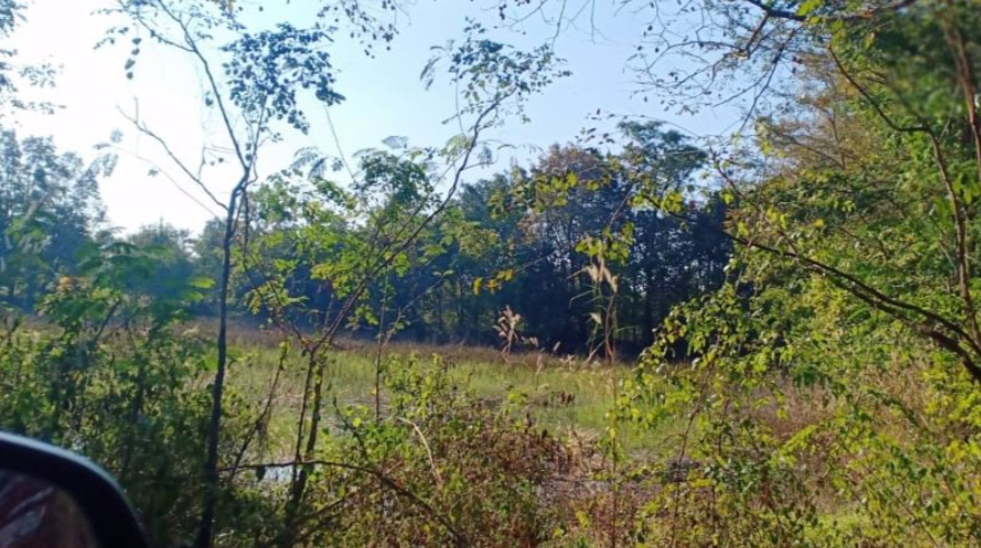 ขายที่ดิน-2ไร่-ราคา290000บาท-ผ่อนวัน100บาท-