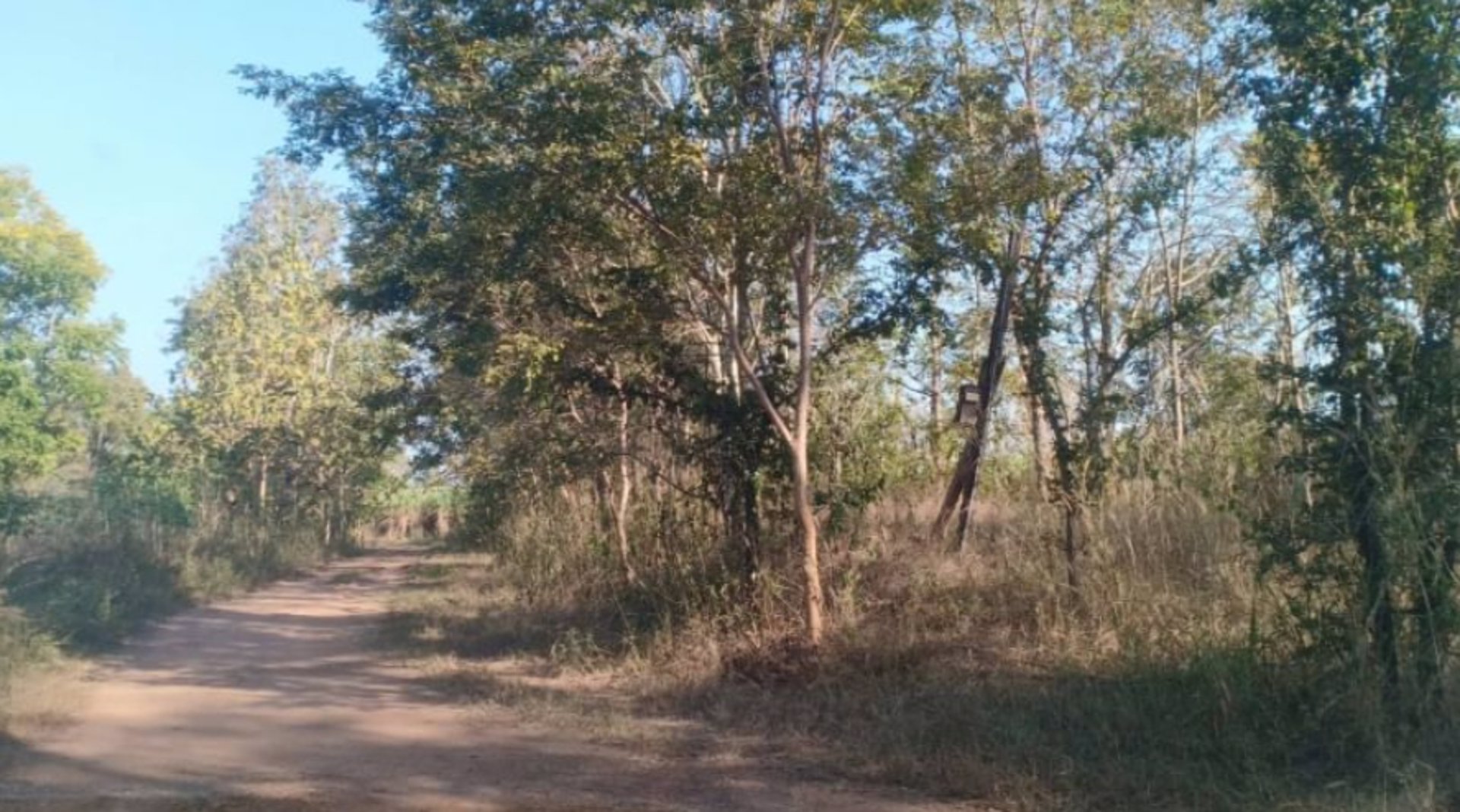 ขายที่ดิน-2ไร่-ราคา290000บาท-ผ่อนวัน100บาท-