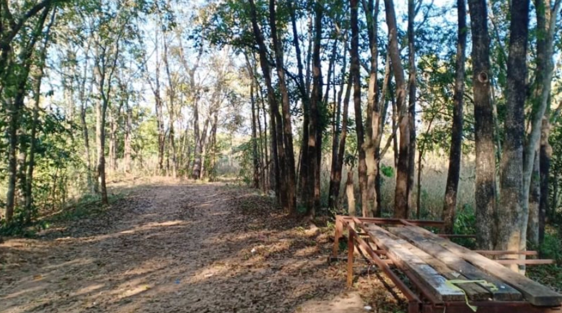 ขายที่ดิน-2ไร่-ราคา290000บาท-ผ่อนวัน100บาท-