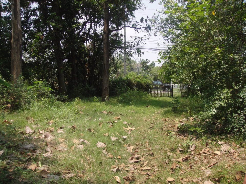 ขายที่ดินเปล่า17ไร่1งานทำเลดีติดถนนสาธารณะน้ำ-ไฟ-โทรศัพท์เข้าถึงอยู่ภายในแหล่งชุมชนอเมือง-จขอนแก่น