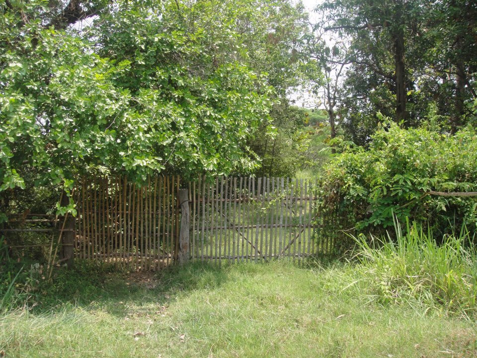 ขายที่ดินเปล่า17ไร่1งานทำเลดีติดถนนสาธารณะน้ำ-ไฟ-โทรศัพท์เข้าถึงอยู่ภายในแหล่งชุมชนอเมือง-จขอนแก่น