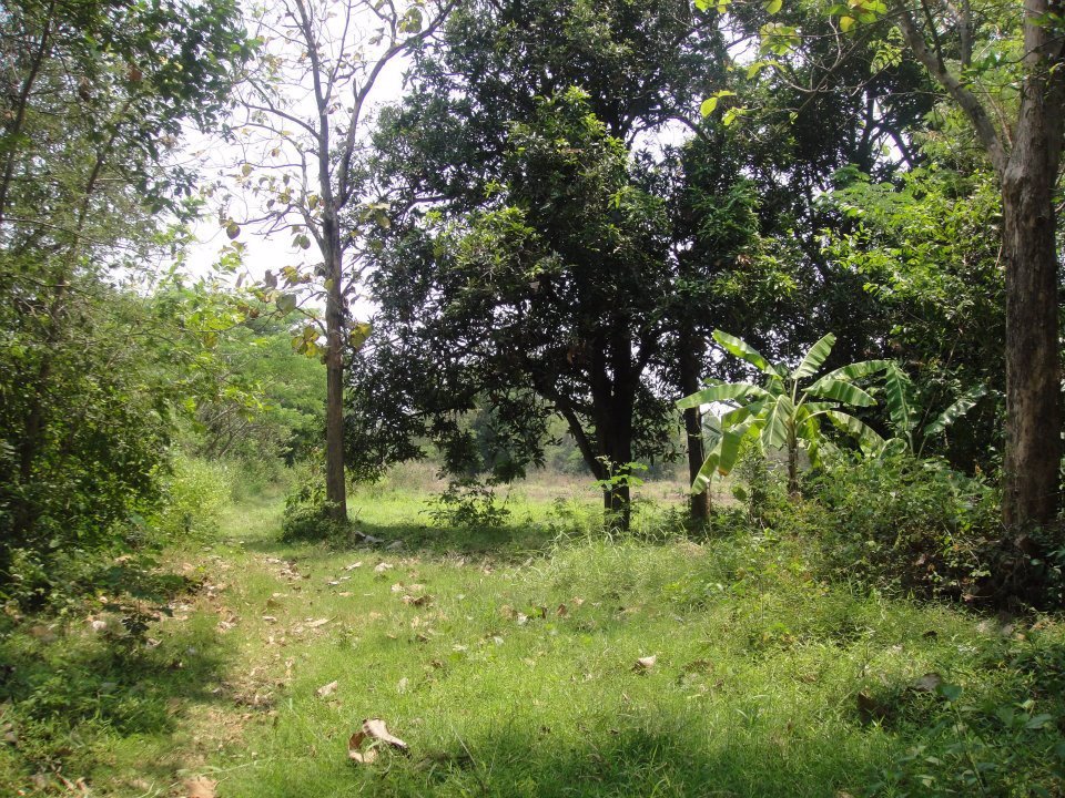 ขายที่ดินเปล่า17ไร่1งานทำเลดีติดถนนสาธารณะน้ำ-ไฟ-โทรศัพท์เข้าถึงอยู่ภายในแหล่งชุมชนอเมือง-จขอนแก่น