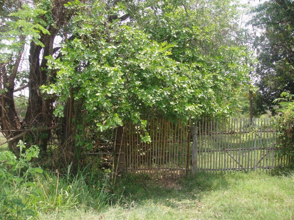 ขายที่ดินเปล่า17ไร่1งานทำเลดีติดถนนสาธารณะน้ำ-ไฟ-โทรศัพท์เข้าถึงอยู่ภายในแหล่งชุมชนอเมือง-จขอนแก่น