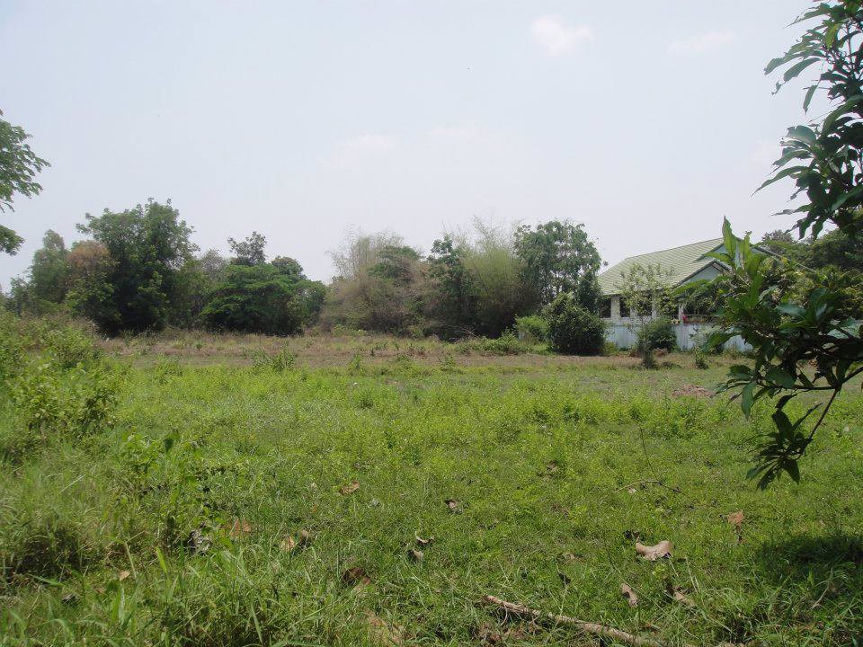 ขายที่ดินเปล่า17ไร่1งานทำเลดีติดถนนสาธารณะน้ำ-ไฟ-โทรศัพท์เข้าถึงอยู่ภายในแหล่งชุมชนอเมือง-จขอนแก่น