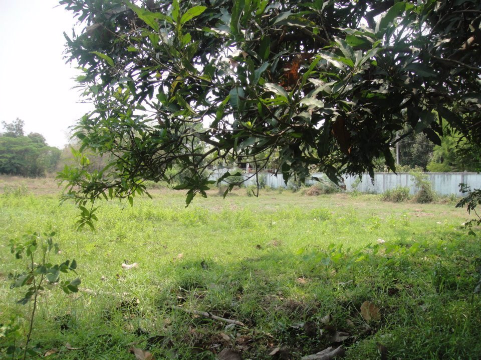 ขายที่ดินเปล่า17ไร่1งานทำเลดีติดถนนสาธารณะน้ำ-ไฟ-โทรศัพท์เข้าถึงอยู่ภายในแหล่งชุมชนอเมือง-จขอนแก่น