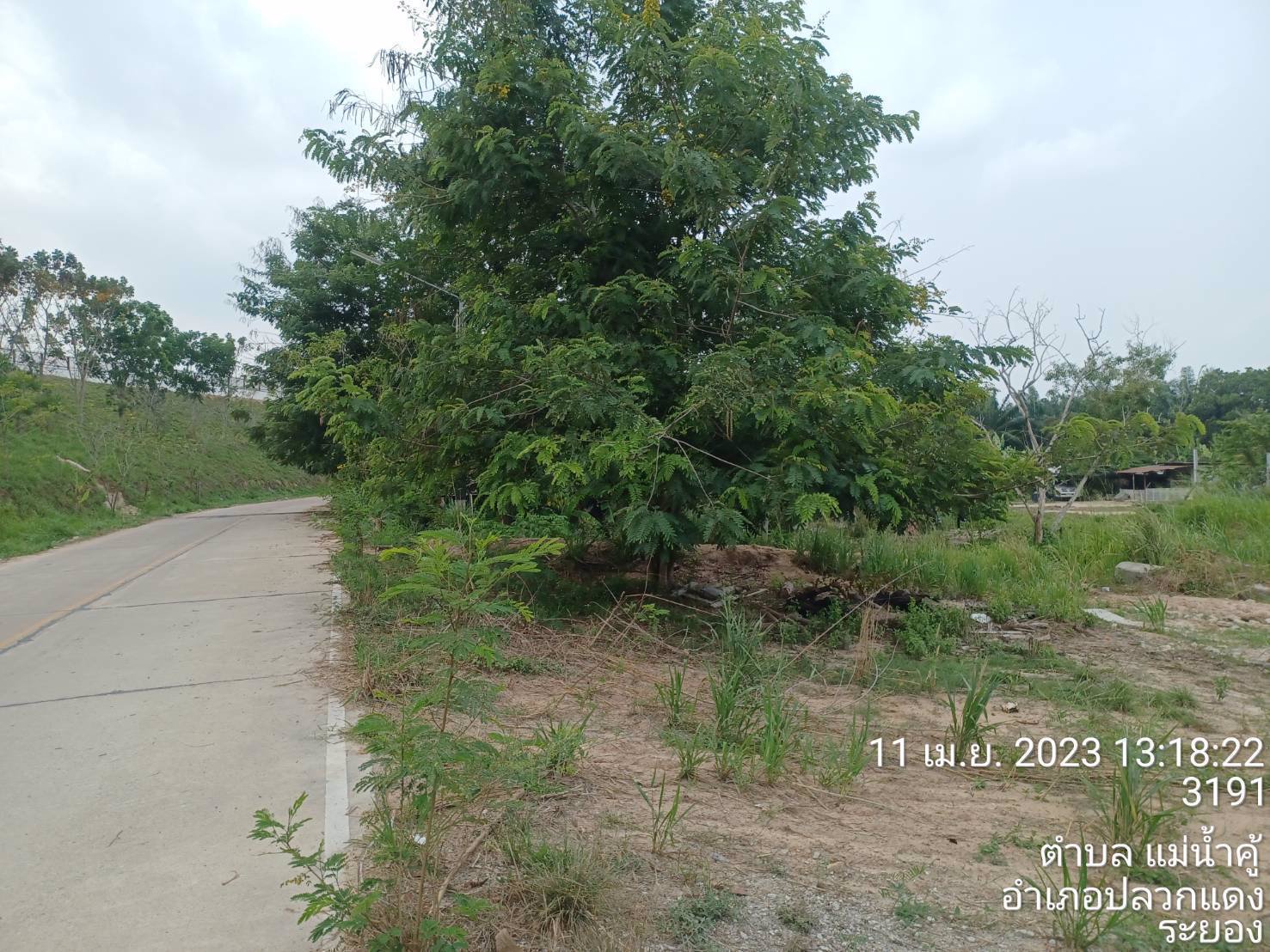 ขายที่ดินเปล่าฯ-พื้นที่สีเหลือง-ตแม่น้ำคู้-อปลวกแดง-จระยอง