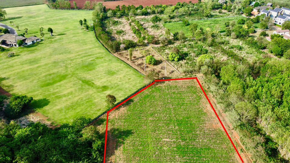 ขายด่วน-ที่ดิน-ตหมูสี-ปากช่อง-เขาใหญ่