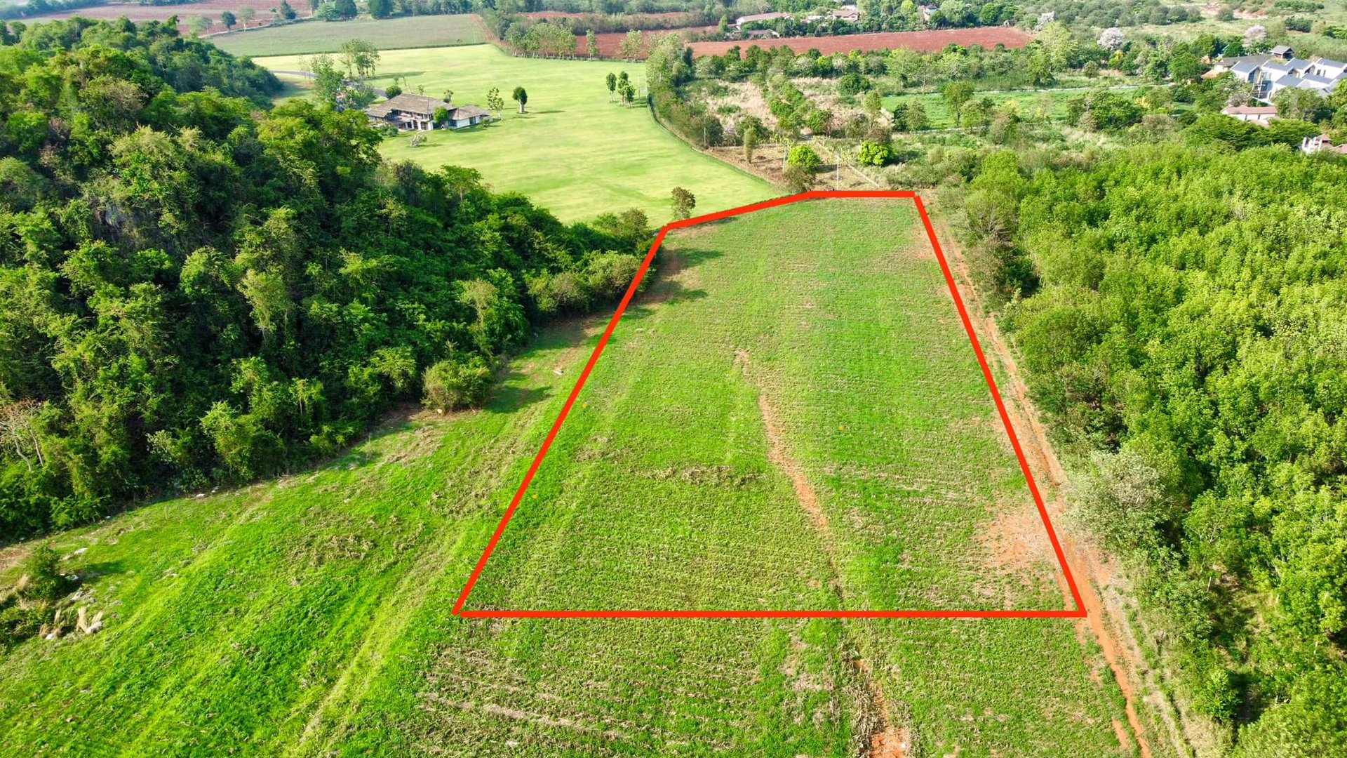 ขายด่วน-ที่ดิน-ตหมูสี-ปากช่อง-เขาใหญ่