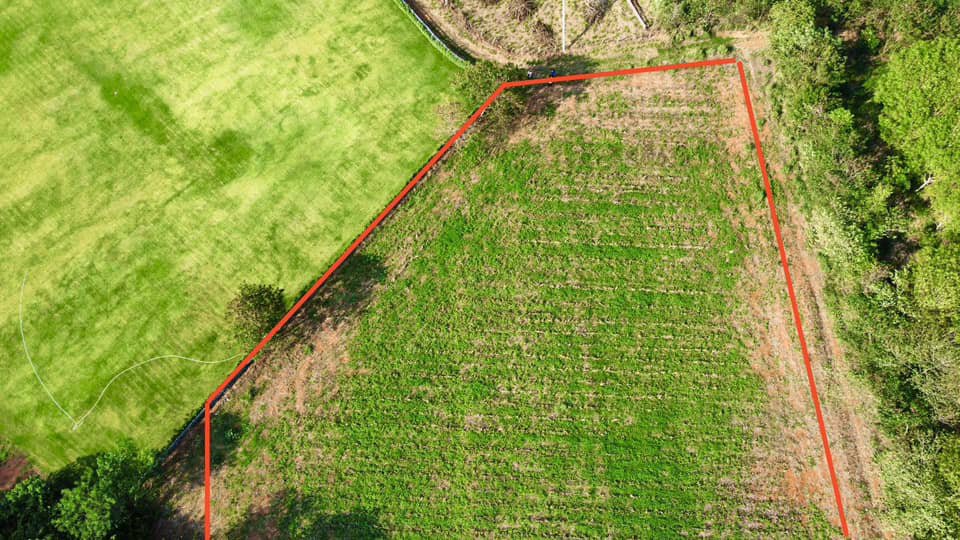 ขายด่วน-ที่ดิน-ตหมูสี-ปากช่อง-เขาใหญ่