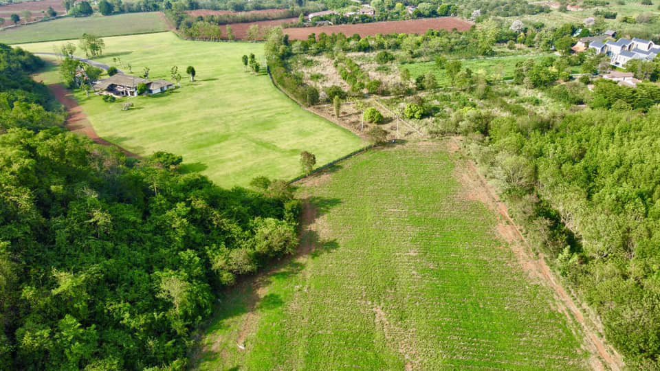 ขายด่วน-ที่ดิน-ตหมูสี-ปากช่อง-เขาใหญ่