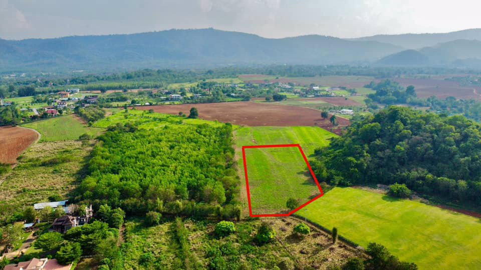 ขายด่วน-ที่ดิน-ตหมูสี-ปากช่อง-เขาใหญ่