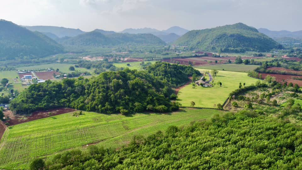 ขายด่วน-ที่ดิน-ตหมูสี-ปากช่อง-เขาใหญ่