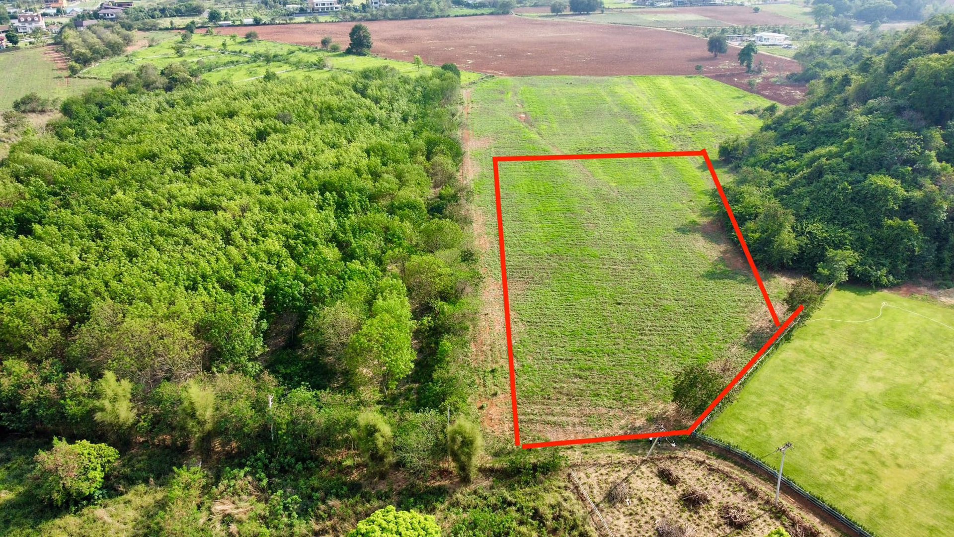 ขายด่วน-ที่ดิน-ตหมูสี-ปากช่อง-เขาใหญ่