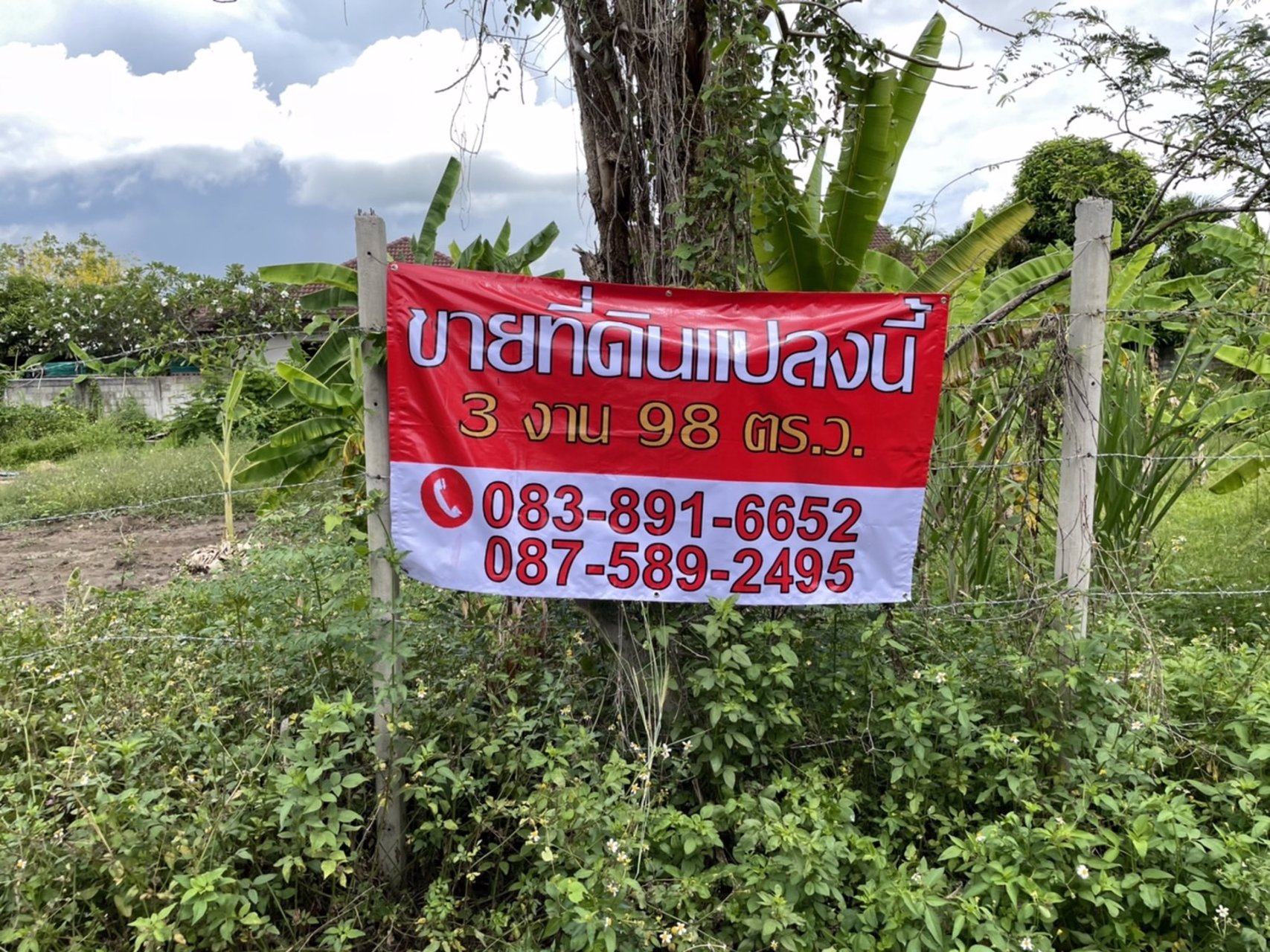 ขายที่ดิน-398-ตรว-0-3-98-ตำบล-ดอนแก้ว-อำเภอ-แม่ริม-เชียงใหม่-ใกล้วัดดอนแก้ว