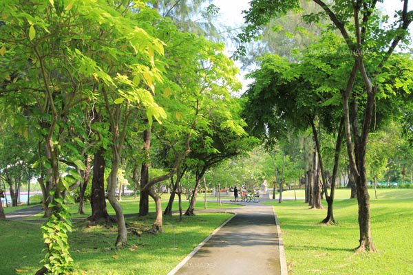 ให้เช่า-ขาย-คอนโดใกล้-bts-mrt-และติดสวนสาธารณะ-เวนิโอ-สุขุมวิทซอย-10-