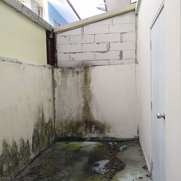 ขายทาวน์เฮ้าส์162ตรว-มพฤกษา48-ซวัดเทียนดัด-ราคาถูกที่สุด