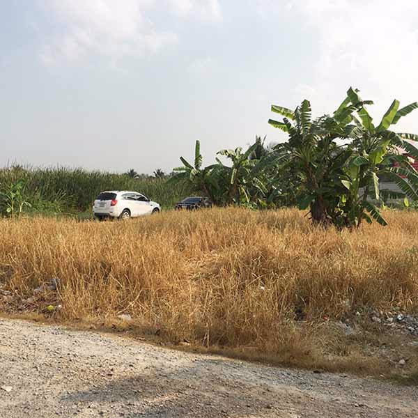 ขายที่ดิน104ตรว-ซอยไร่ขิง18-สามพราน-ขนาด28x15เมตร-ถมแล้ว