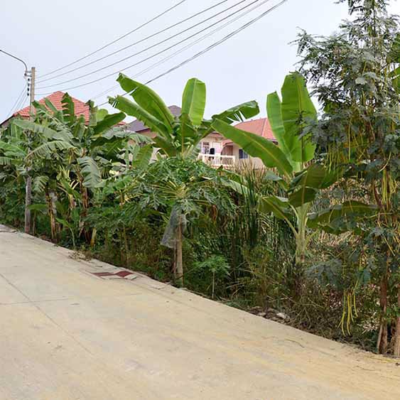 ขายที่ดินเปล่า200ตรว-ซทวีวัฒนา25-แยก7-14-เหมาะสร้างบ้าน-ราคาคุยกันได้ครับ