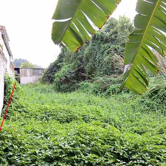 ขายที่ดินเปล่า200ตรว-ซทวีวัฒนา25-แยก7-14-เหมาะสร้างบ้าน-ราคาคุยกันได้ครับ