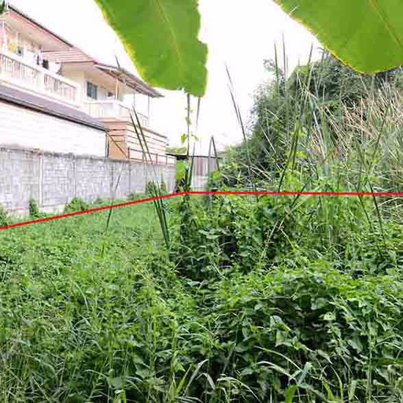 ขายที่ดินเปล่า200ตรว-ซทวีวัฒนา25-แยก7-14-เหมาะสร้างบ้าน-ราคาคุยกันได้ครับ