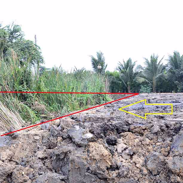 ขายที่ดินเปล่า200ตรว-ซทวีวัฒนา25-แยก7-14-เหมาะสร้างบ้าน-ราคาคุยกันได้ครับ