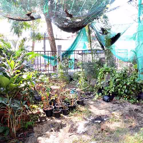 ขายบ้านแฝด56ตรว-มดรีมวิลเลจ-สวนผัก-ราชพฤกษ์-หลังริม-พื้นที่เยอะ-ราคาคุยกันได้ค่ะ