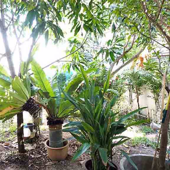 ถูกสุดคุ้มทาวน์เฮ้าส์หลังริม-396ตรว-มพฤกษา75-ซหมอศรี-สามพราน-ขายขาดทุน-199ลบเท่านั้น