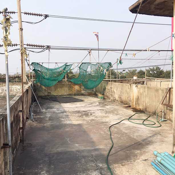 ขายตึก3ชั้น-2คูหา-52ตรว-ปากซอยหมอศรี-สามพราน-ติดถนนเพชรเกษม-ทำเลค้าขาย-ราคาคุยกันได้ค่ะ