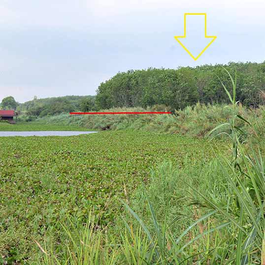 ขายที่ดินเปล่า25-3-19ไร่-ใกล้นิคมบ่อวิน-ศรีราชา-เหมาะลงทุน-ราคาคุยกันได้ค่ะ