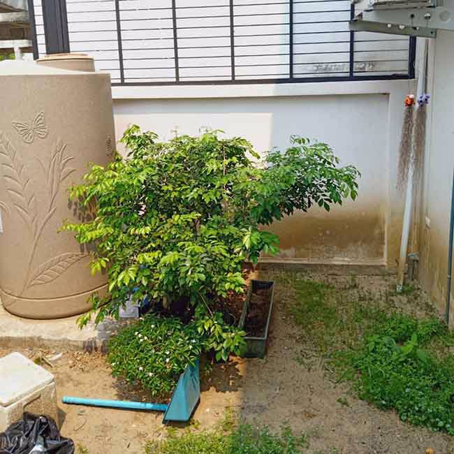 ถูกที่สุดทาวน์เฮ้าส์238ตรว-มเลอวิลล์-พลัส-รังสิต-คลอง7-จัดกู้ให้ครับ