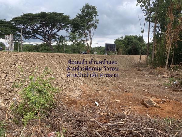 ที่ดินให้เช่าระยะยาว-ตมิตรภาพ-อมวกเหล็ก-จสระบุรี-ขนาด-380-ตรว-ที่หัวมุม-ถมแล้วทั้งผืน-พร้อมใช้ง