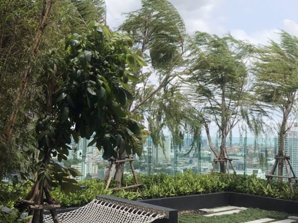 for-sale-or-rent-rhythm-sukhumvit-36-38-is-a-condominium-project-developed-by-ap-thailand-