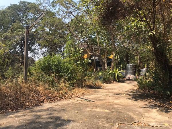 ขายที่ดิน-อลำลูกกา-ปทุมธานี-11-0-60-ไร่-ติดถนนสาธารณะกว้าง-10-ม-เข้าซอยพหลโยธิน-64