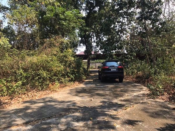 ขายที่ดิน-อลำลูกกา-ปทุมธานี-11-0-60-ไร่-ติดถนนสาธารณะกว้าง-10-ม-เข้าซอยพหลโยธิน-64