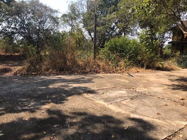 ขายที่ดิน-อลำลูกกา-ปทุมธานี-11-0-60-ไร่-ติดถนนสาธารณะกว้าง-10-ม-เข้าซอยพหลโยธิน-64