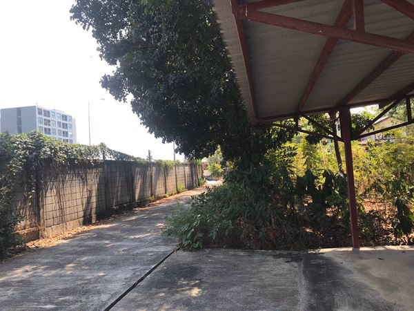 ขายที่ดิน-อลำลูกกา-ปทุมธานี-11-0-60-ไร่-ติดถนนสาธารณะกว้าง-10-ม-เข้าซอยพหลโยธิน-64