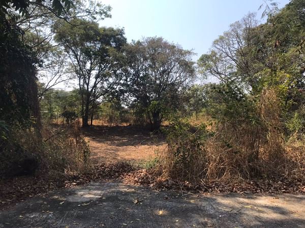 ขายที่ดิน-อลำลูกกา-ปทุมธานี-11-0-60-ไร่-ติดถนนสาธารณะกว้าง-10-ม-เข้าซอยพหลโยธิน-64