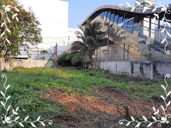 ที่ดิน-1227-ตรว-ติดmrt-บางกระสอ-อยู่ใน-โครงการ-noble-tara-ถรัตนาธิเบศร์-งามวงศ์วาน