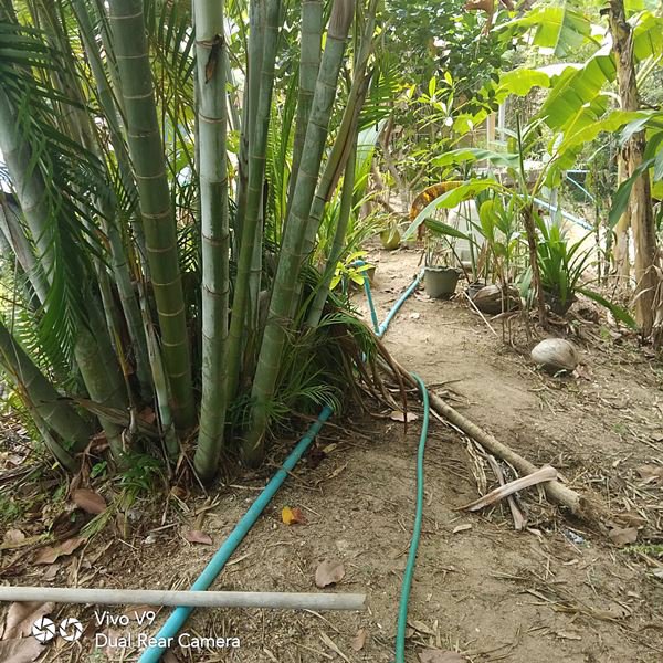 ขายรีสรอท-ถูกๆ-ในเกาะสมุย-รีสรอททรงกลม-รองรับแขกชาวต่างชาติ-บริการพักรายวันและรายเดือน