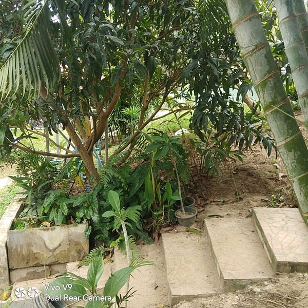 ขายรีสรอท-ถูกๆ-ในเกาะสมุย-รีสรอททรงกลม-รองรับแขกชาวต่างชาติ-บริการพักรายวันและรายเดือน