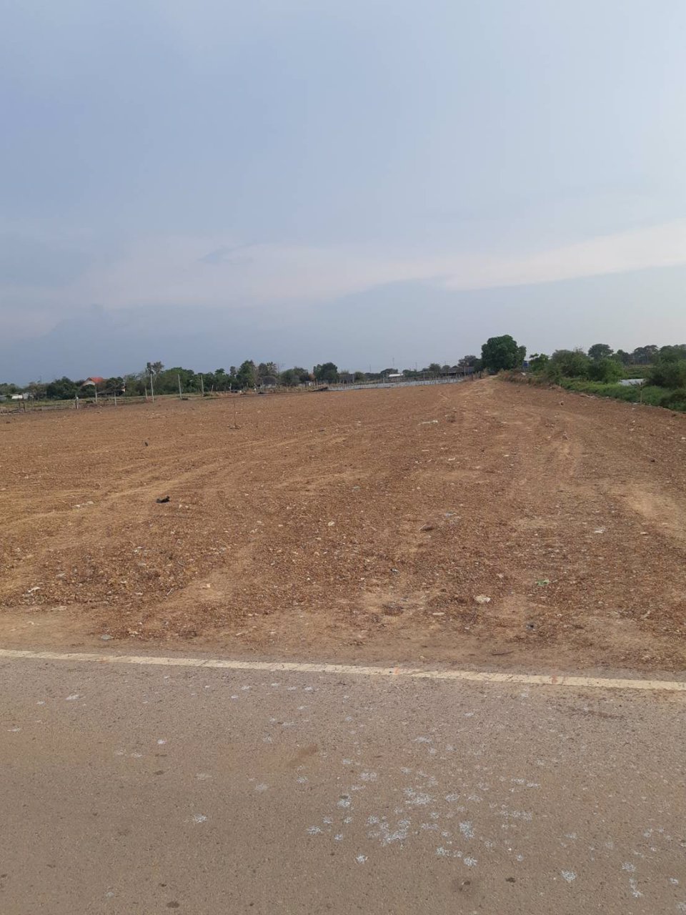 ขายที่ดินถมแล้ว-แบ่งขาย-100-80-60-ตรว-ตเสม็ดใต้-อบางคล้า-จฉะเชิงเทรา