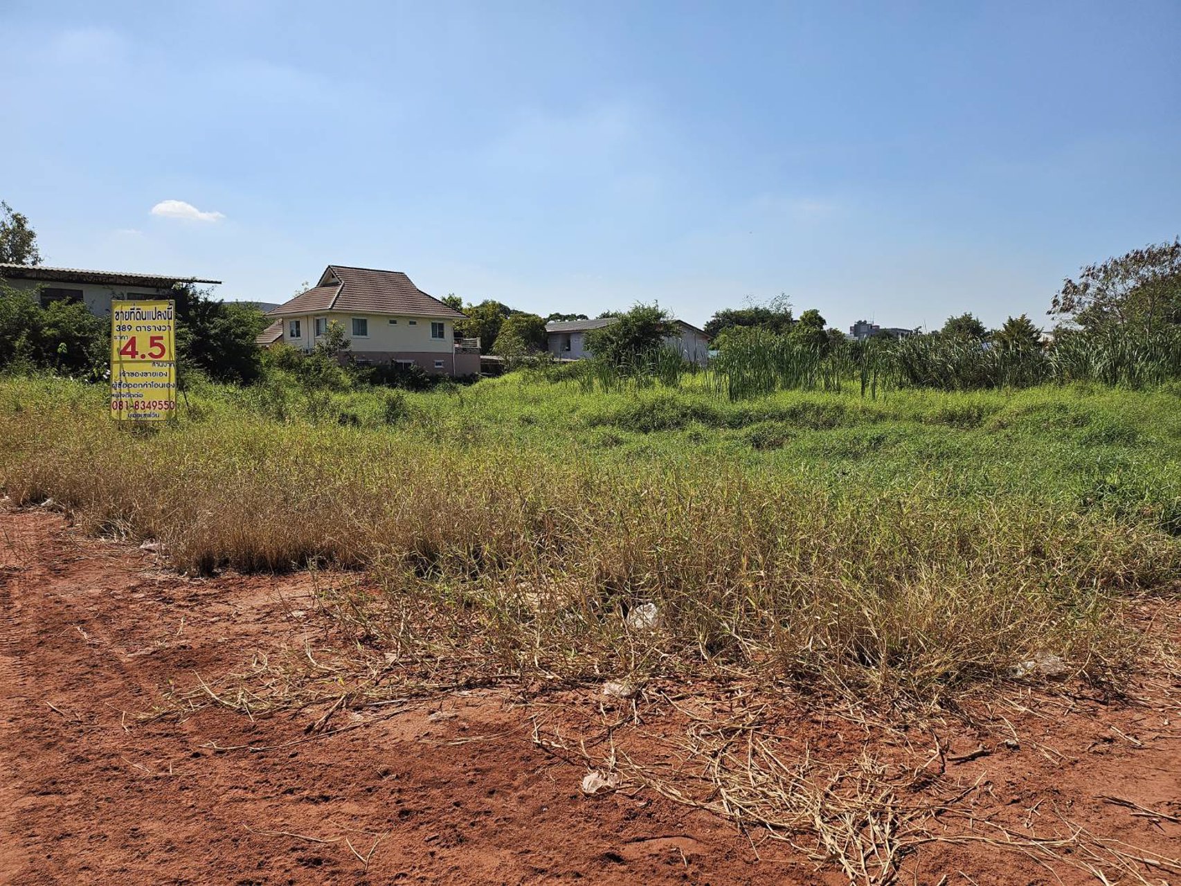 ให้เช่าที่ดินซอยสวนมะพร้าวโคราช