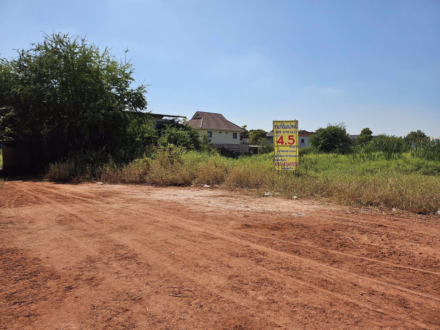 ให้เช่าที่ดินซอยสวนมะพร้าวโคราช