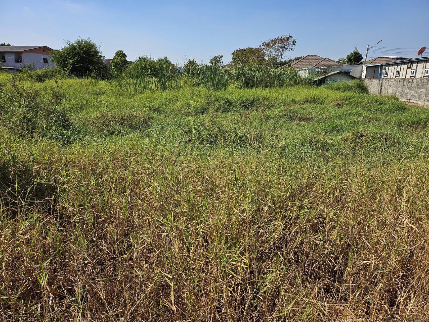 ให้เช่าที่ดินซอยสวนมะพร้าวโคราช