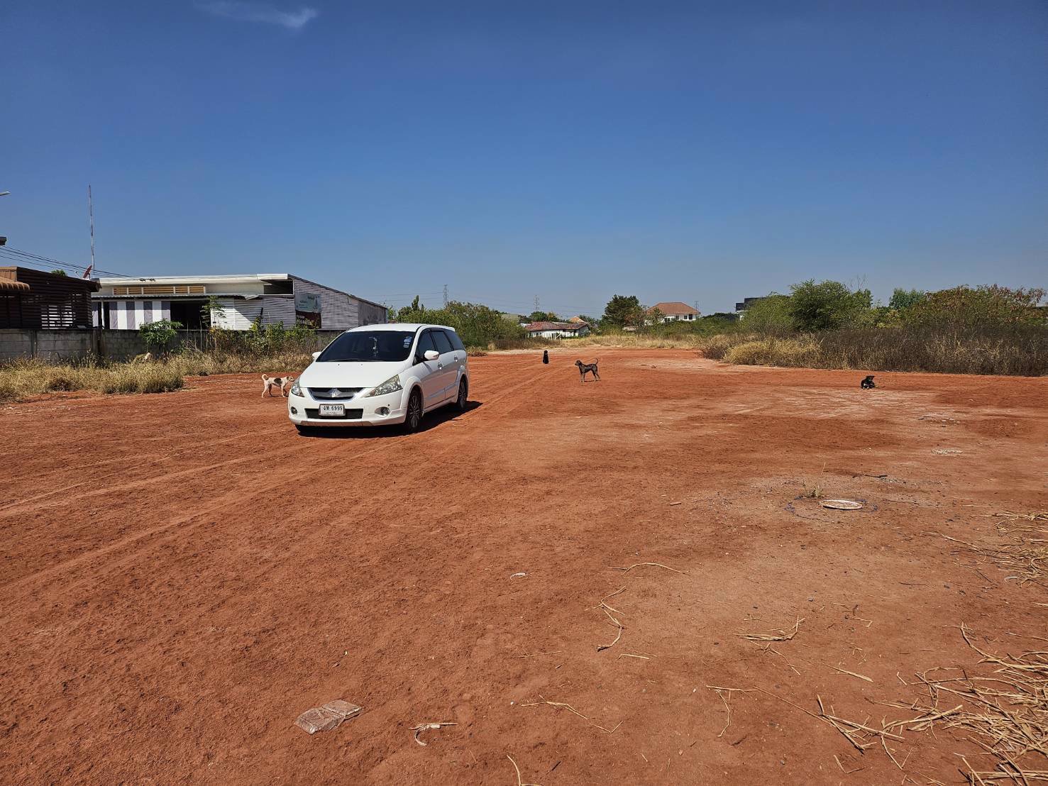 ให้เช่าที่ดินซอยสวนมะพร้าวโคราช