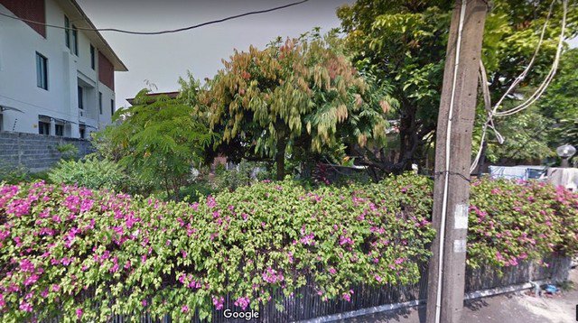 62024-ขาย-ที่ดินพร้อมบ้าน-ซอยสุขุมวิท-49-เนื้อที่-87-ตารางวา-อยู่ในแหล่งชุมชน-เดินทางเข้าออกสะดวก