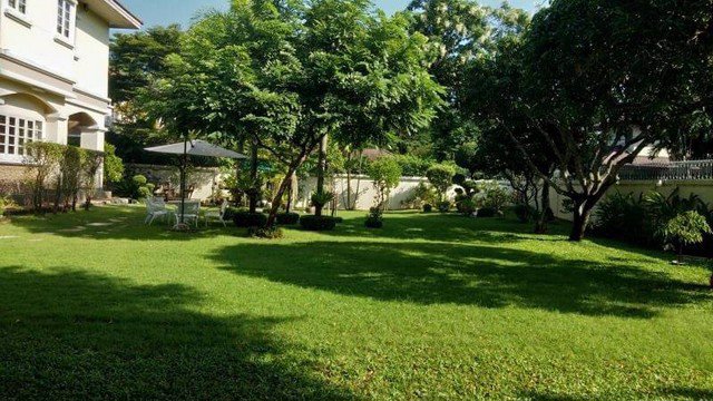 62034-ขายที่ดินหายาก-หลังห้างพาราไดซ์-พาร์ค-เนื้อที่-1267-ตรว-สังคมคุณภาพ-เพื่อนบ้านดี