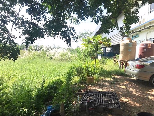 ขายโรงงานติดตั้งเครื่องจักรอุตสาหกรรม-พร้อมเครื่องจักร-มีใบอนุญาติ-ถนน-3304-บ้านโพธิ์-ฉะเชิงเทรา